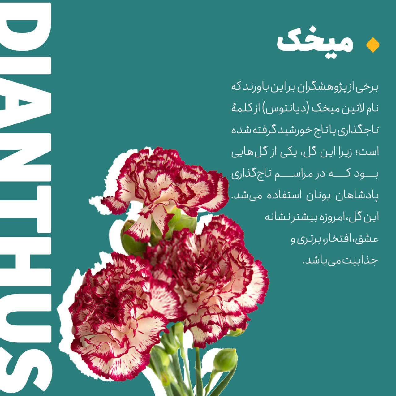 https://s4.uupload.ir/files/%D8%A7%D8%B2_%D8%B2%D8%A8%D8%A7%D9%86_2_0eka.jpg