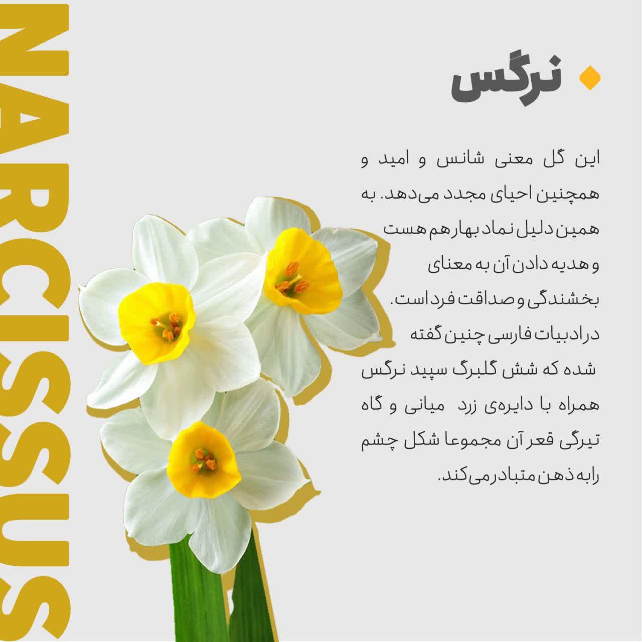 https://s4.uupload.ir/files/%D8%A7%D8%B2_%D8%B2%D8%A8%D8%A7%D9%86_3_411t.jpg