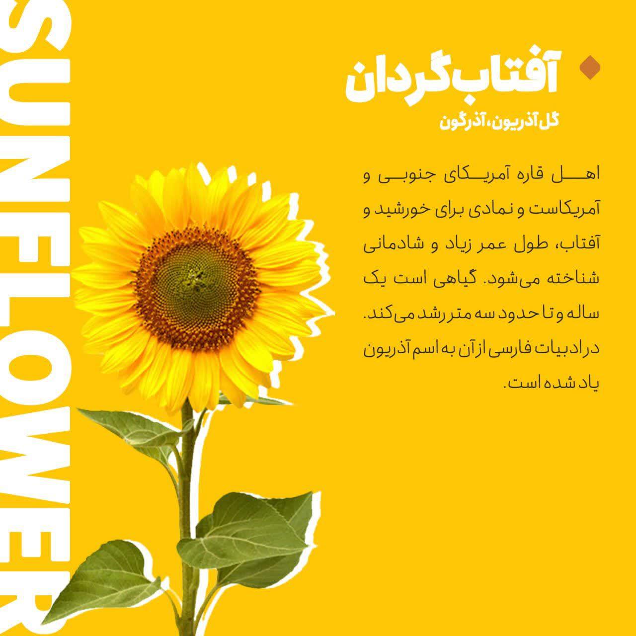 https://s4.uupload.ir/files/%D8%A7%D8%B2_%D8%B2%D8%A8%D8%A7%D9%86_4_9kwa.jpg