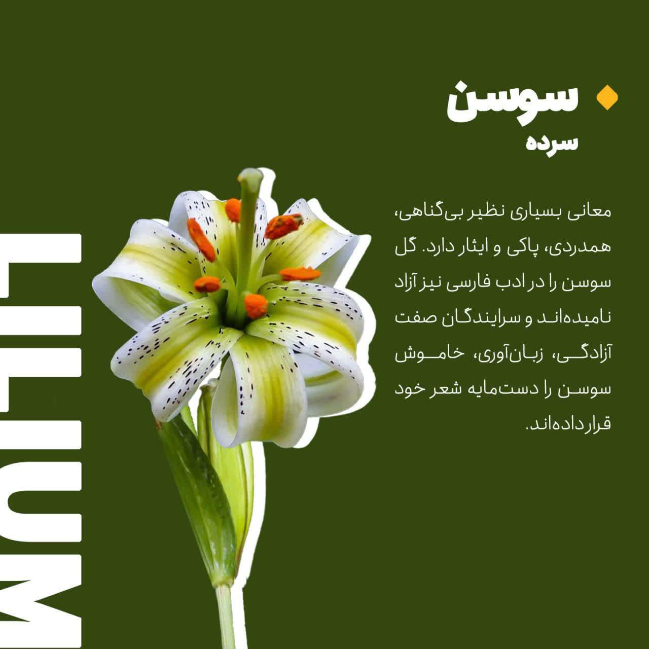 https://s4.uupload.ir/files/%D8%A7%D8%B2_%D8%B2%D8%A8%D8%A7%D9%86_5_u2jt.jpg