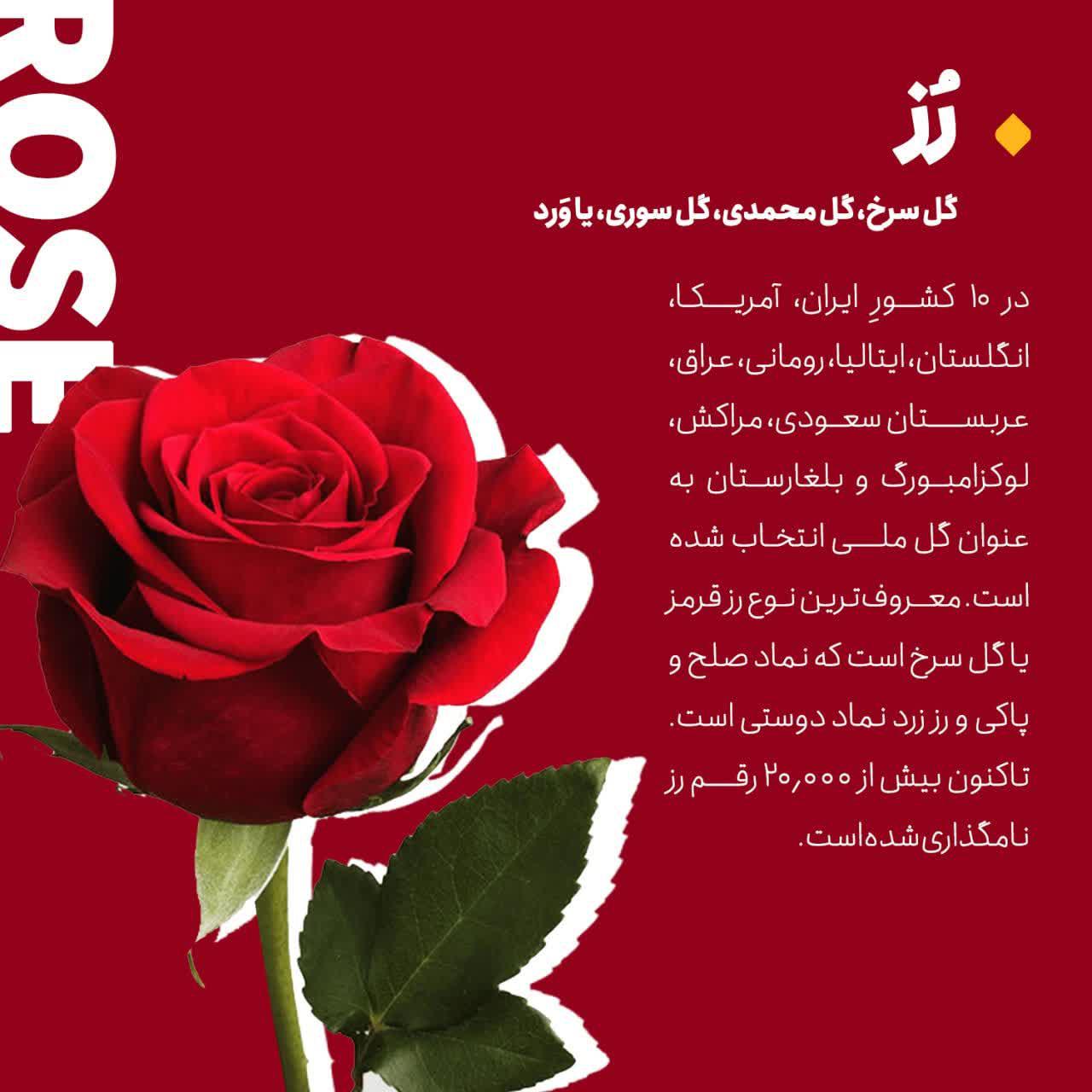 https://s4.uupload.ir/files/%D8%A7%D8%B2_%D8%B2%D8%A8%D8%A7%D9%86_y7a.jpg