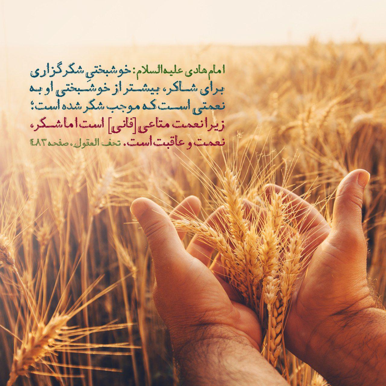 https://s4.uupload.ir/files/%D8%A7%D9%85%D8%A7%D9%85_%D9%87%D8%A7%D8%AF%D9%89_ehrh.jpg
