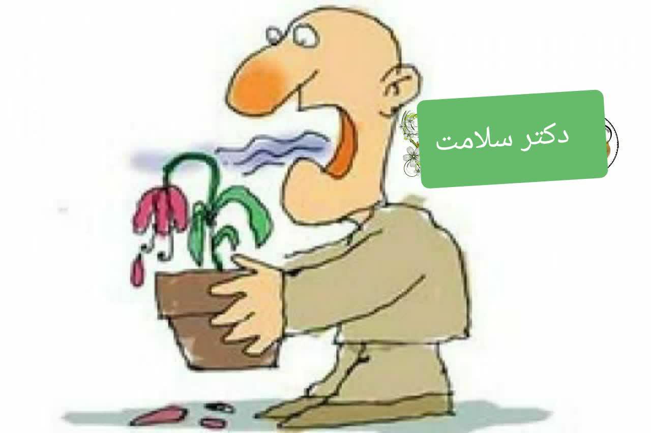 https://s4.uupload.ir/files/%D8%A8%D9%88%DB%8C_%D8%A8%D8%AF_e1na.jpg