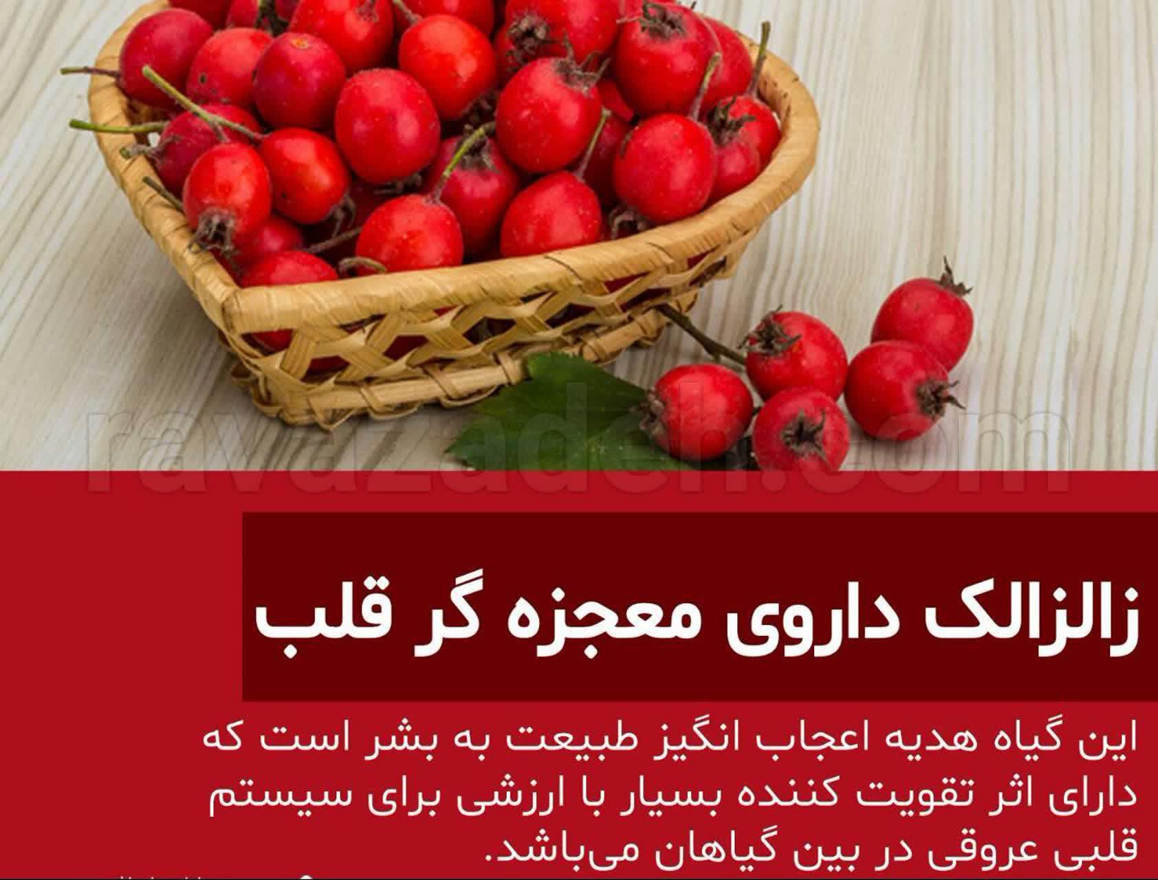 https://s4.uupload.ir/files/%D8%B2%D8%A7%D9%84%D8%B2%D8%A7%D9%84%DA%A9_4ke8.jpg