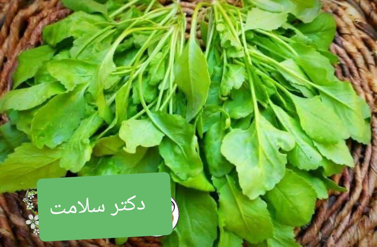 https://s4.uupload.ir/files/%D8%B3%D8%A8%D8%B2%DB%8C_0uau.jpg