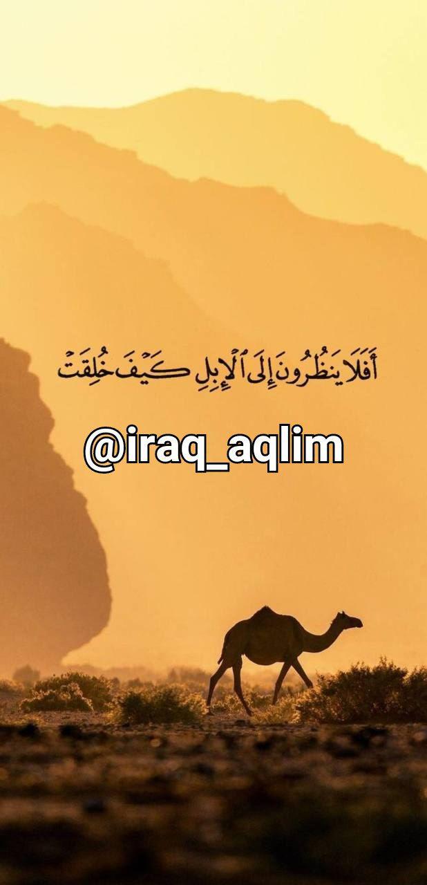 https://s4.uupload.ir/files/%D8%B4%D8%AA%D8%B1%D9%87%D8%A7_it2w.jpg