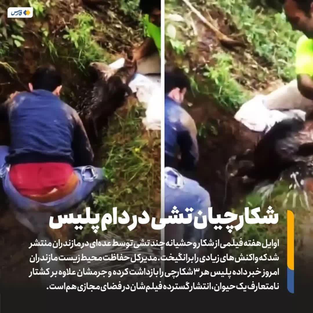 https://s4.uupload.ir/files/%D8%B4%DA%A9%D8%A7%D8%B1%DA%86%DB%8C%D8%A7%D9%86_nxhm.jpg