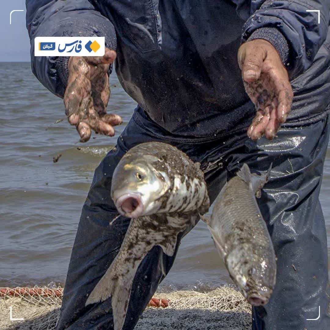 https://s4.uupload.ir/files/%D8%B5%DB%8C%D8%AF_%D9%85%D8%A7%D9%87%DB%8C_epo.jpg