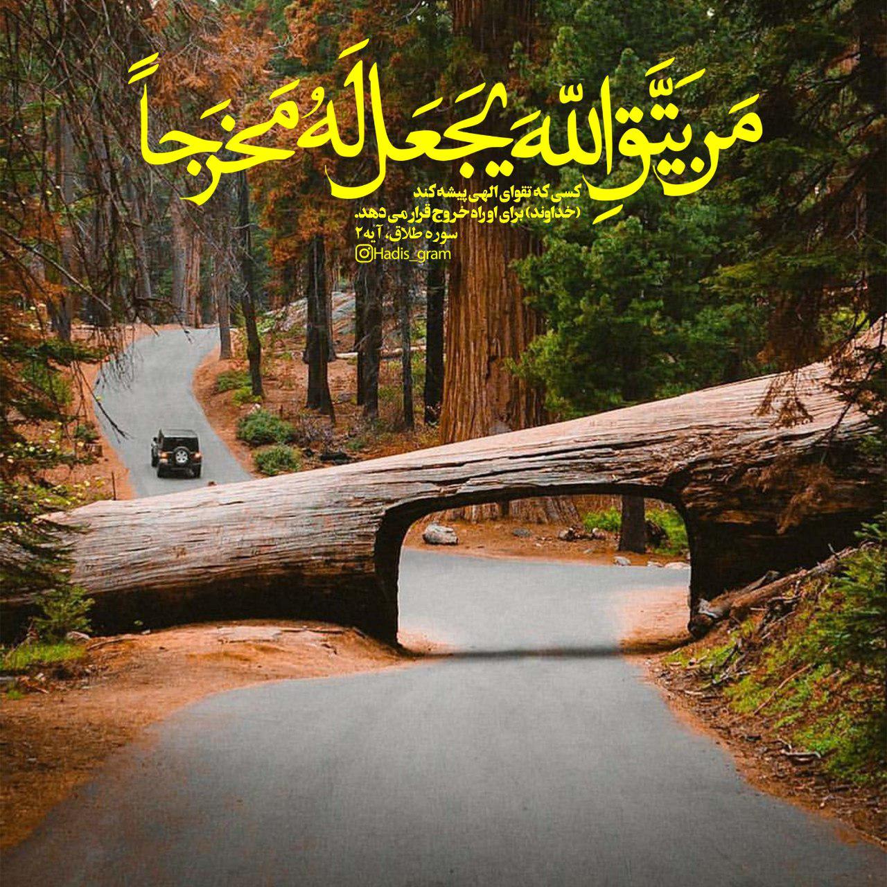 https://s4.uupload.ir/files/%D9%87%DB%8C%D8%AB%D9%85_9epf.jpg