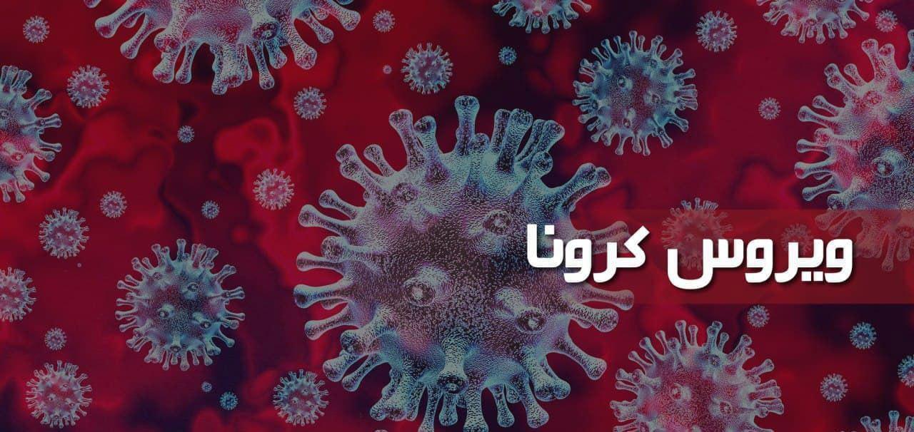 https://s4.uupload.ir/files/%D9%88%D8%A7%D8%B1%D8%AF_%D9%BE%DB%8C%DA%A9_va2w.jpg