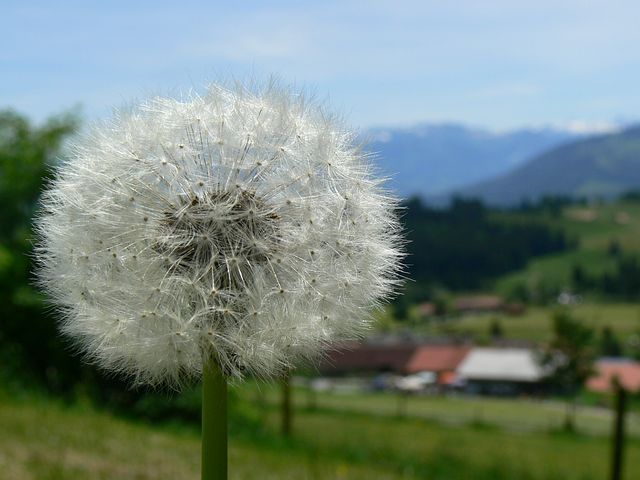 10_a6x0.jpg