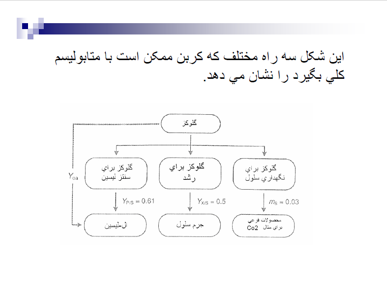 دانلود پی دی اف جزوه بیوشیمی