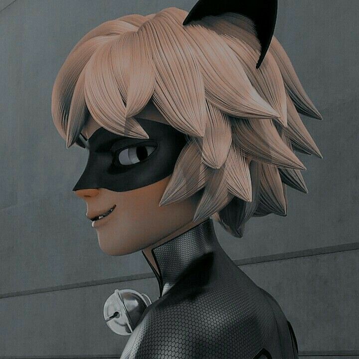 http://aylaladybug12.blogfa.com/author/catnoir/%e2%97%8dcat-noir%e2%97%8d