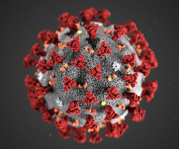 کرونا ویروس جدید از کجا آمده است؟