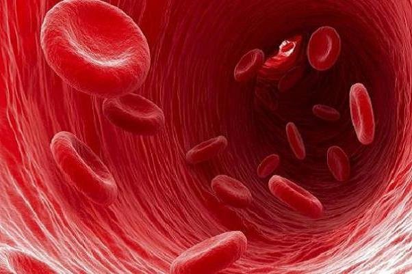 آنمی چیست و چگونه می توان آن را درمان کرد؟