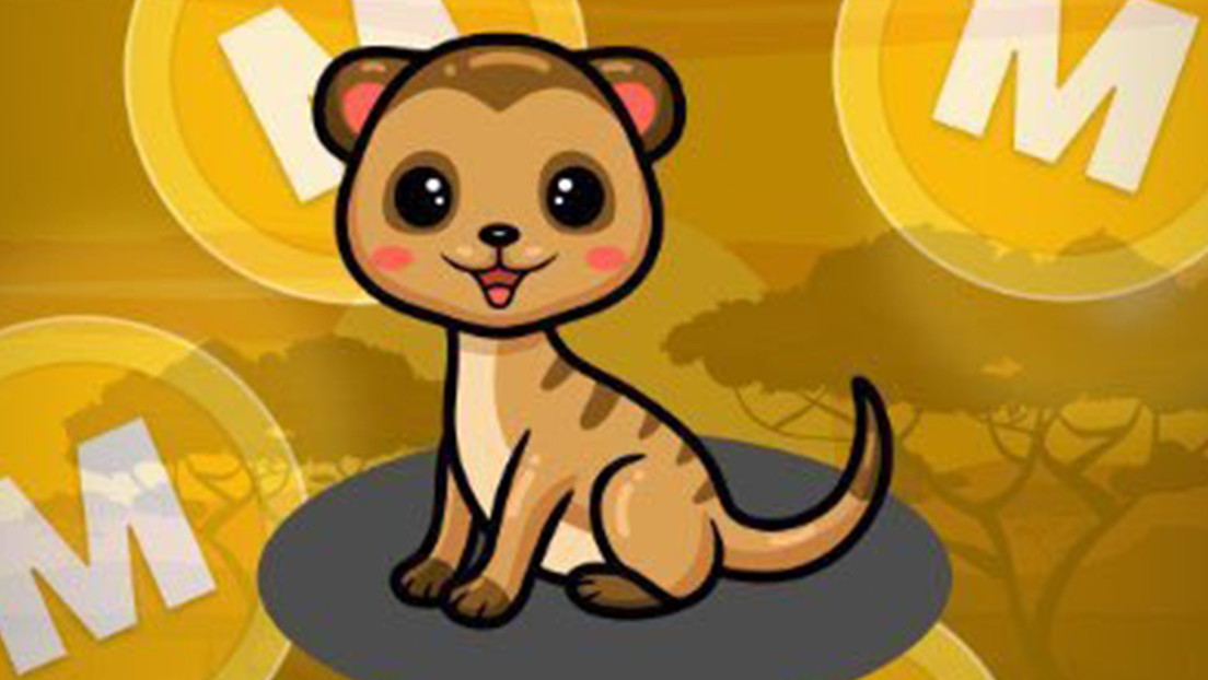 یک نماینده کنگره درباره ارزدیجیتال Mongoose Coin که وجود ندارد شوخی می کند و باعث ایجاد آن می شود