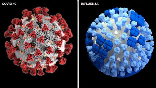 تفاوت ها و شباهت های آنفلوانزا با کرونا ویروس چیست؟