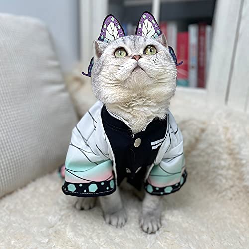 •گربه‌های اوتاکو! ^••^ (کاسپلی) Otaku Cats!•