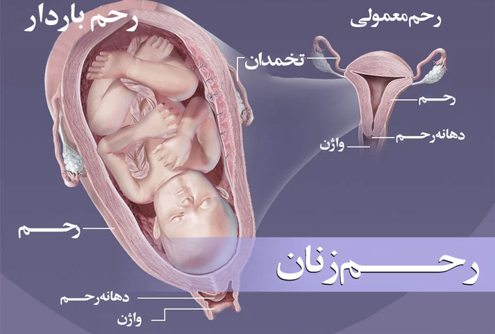 [تصویر:  _d8_b1_d8_ad_d9_85-_d8_b2_d9_86_d8_a7_d9_86_5avs.jpg]