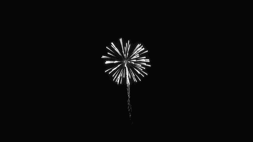 [تصویر:  brocade-firework-effects_e303.gif]