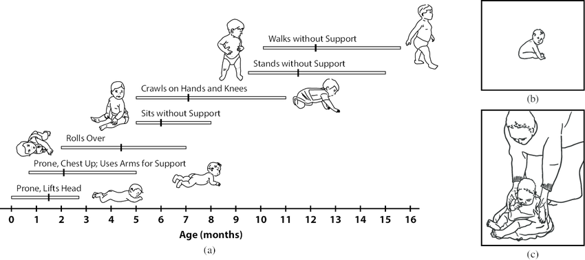 [تصویر:  depictions-of-infant-motor-milestones-a-...g_70tl.png]