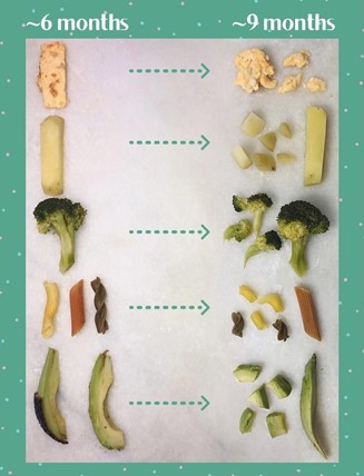 [تصویر:  fingerfoods8_mbxd.jpg]