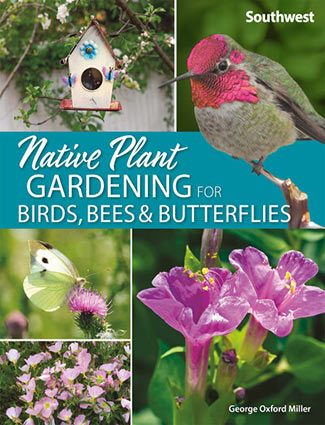 Native Plant Gardening for Birds