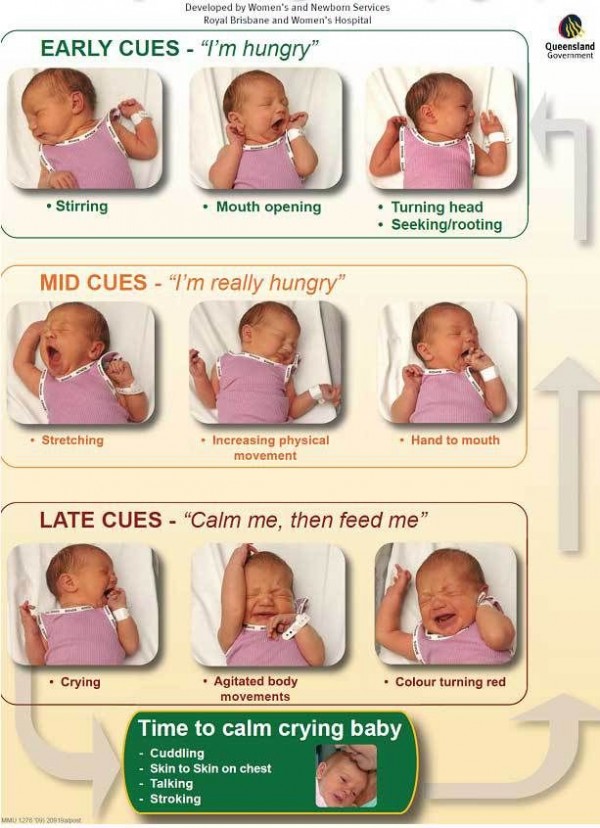 [تصویر:  new-baby-tips-and-hacks-to-make-your-day...4_cnye.jpg]