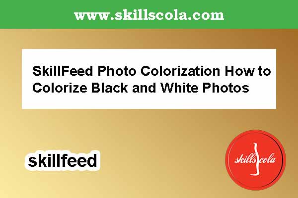 SkillFeed Photo Colorization