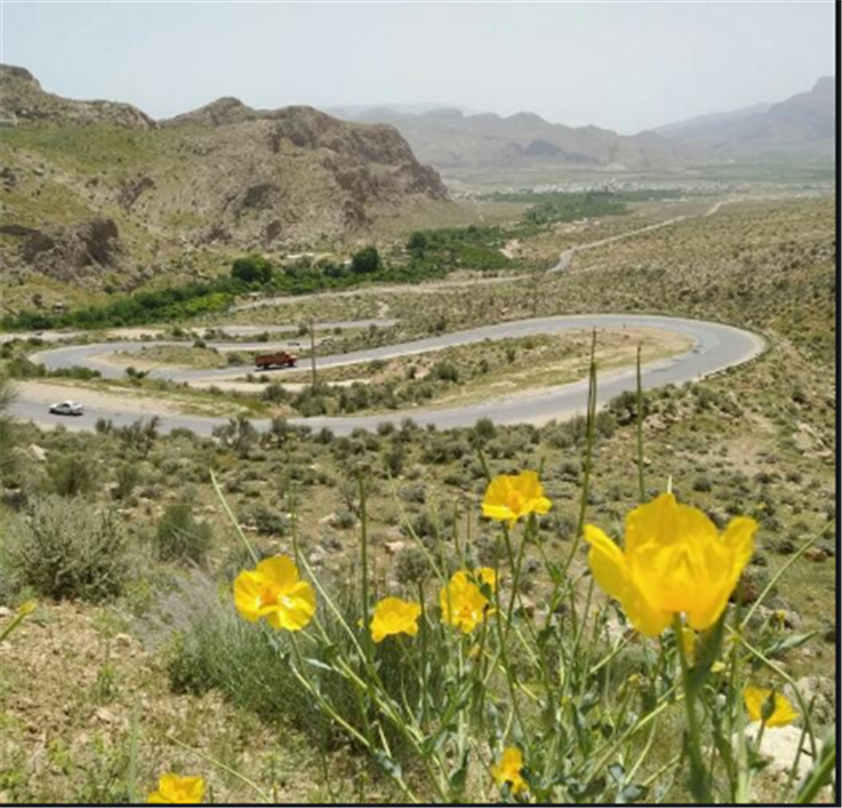تاریــــــــــــــــخ ایـــــــــــــــج