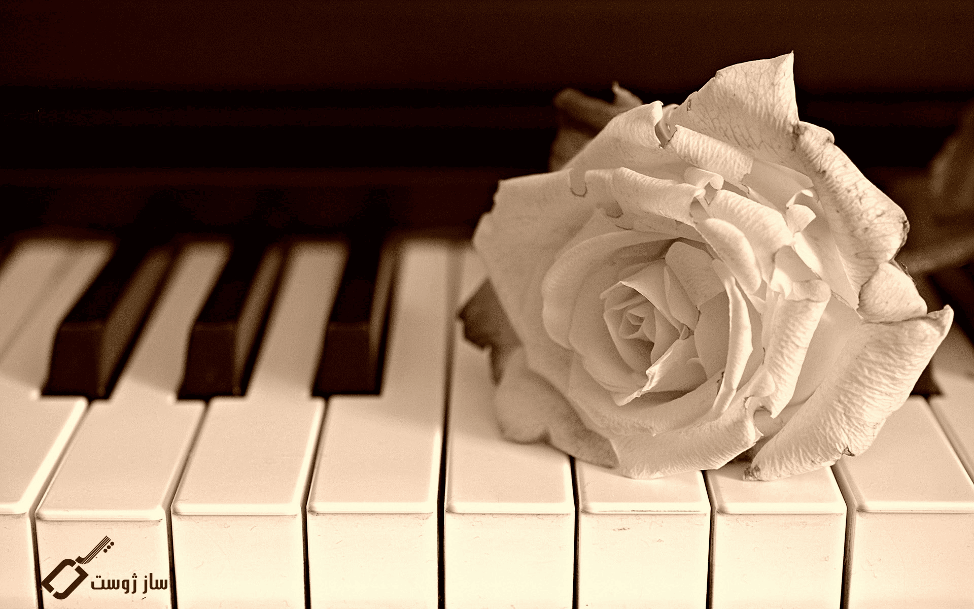 انواع پیانو