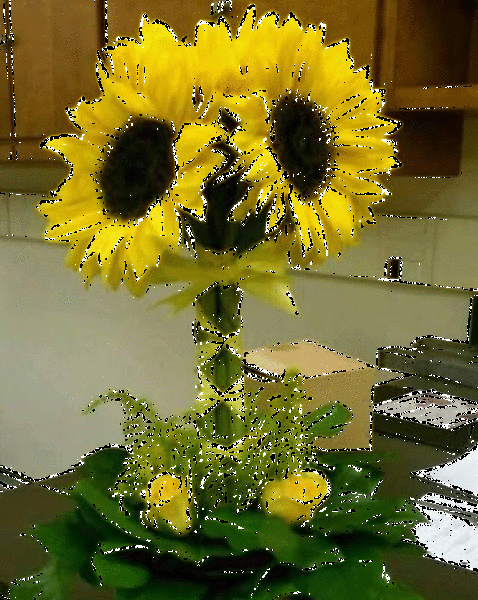 تصاویر_متحرک_شباهنگ-گلها_آفتابگردان_shabahang_gifs_flowers_sunflowers