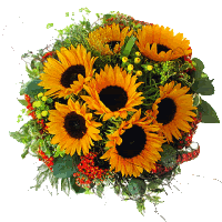 https://s4.uupload.ir/files/تصاویر_متحرک_شباهنگ-گلها_آفتابگردان_shabahang_gifs_flowers_sunflowers_(74)_7lrg.gif