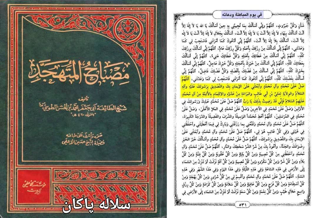تولی و تبری در مباهله، سیدعلی آیت اللهی، سلاله پاکان 